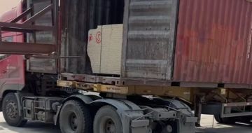 清远 黄金麻荔枝面毛板