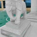 清远 白麻花岗岩动物异形石雕-大象