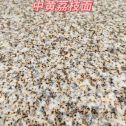 清远黄金麻中黄荔枝面
