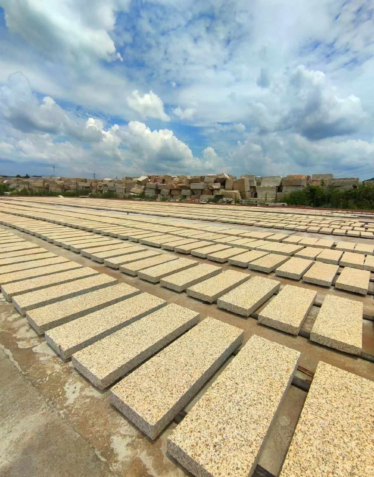 清远 黄金麻荔枝面花岗岩石材地铺石防护中