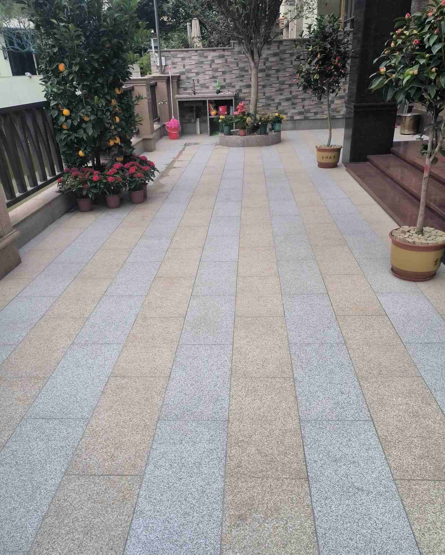 清远 黄金麻白麻荔枝面庭院铺装展示